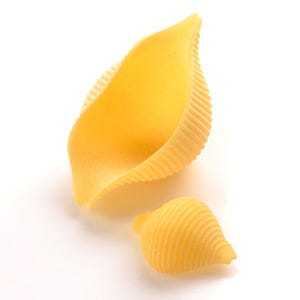 <p>In Italian, they're called <i>conchiglie</i>, meaning "seashells," and this perennial kid favorite can be found in smooth or ridged varieties. The cuplike shape of the shells is ideal for holding sauces — from cheese to tomato to pesto — as well as small ingredients like capers and pine nuts.</p><br />
<p><a href=""/search/fast_search_recipes?search_term=shells""><b>Find recipes with pasta shells</b></a></p>

