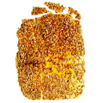 Spicy Pumpkin-Seed Brittle