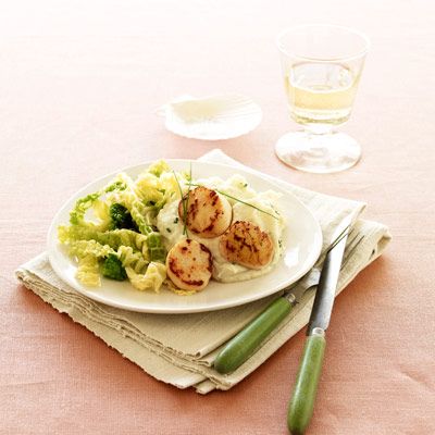 Scallops and Parsnip Puree