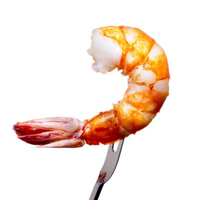 Shrimp Shrimp