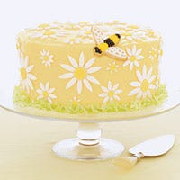 <p>Spread the sweet taste of spring with this daisy-decorated rich butter cake.</p><br />
<p><a href="/recipefinder/daisy-cake-ghk" target="_blank">Get the recipe!</a></p>