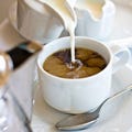 Coffee with Cream