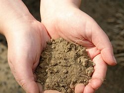 Why Do People Eat Dirt?