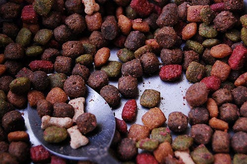 dog food