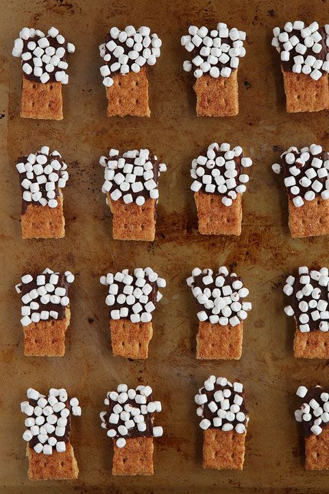 smores mini dippers