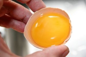 Finger, Yellow, Ingredient, Egg yolk, Orange, Nail, Amber, Thumb, Egg, Gesture, 