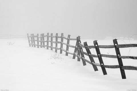 Winter, Freezing, Monochrome, Slope, Atmospheric phenomenon, Wire fencing, Monochrome photography, Black-and-white, Parallel, Snow, 