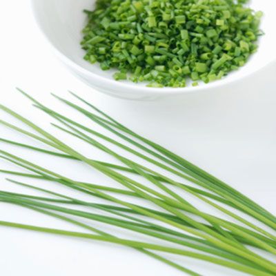<p>These herbs are great in place of onions without the pungent taste or aroma. Chopped or snipped, their bright color and delicate shape can elevate any dish. Even a bowl of plain ol' mashed potatoes will be instantly transformed!<br /><br />
Recipes:<br />
<a href="/recipefinder/steamed-salmon-ginger-chives-recipe-8253" target="_new"><b>Steamed Salmon with Ginger and Chives</b></a><br />
<a href="/recipefinder/mixed-green-salad-chive-dressing-recipe-4770" target="_new"><b>Mixed Green Salad with Chive Dressing</b></a><br />
<a href="/recipefinder/sweet-potato-salad-easy-side-dish" target="_new"><b>Sweet Potato Salad</b></a></p>