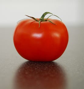 is a tomato a fruit or vegetable nix v hedden tomato fruit or