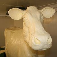 butter cow at the iowa state fair