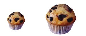 blueberry muffin