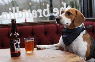Dog Beer with Dog