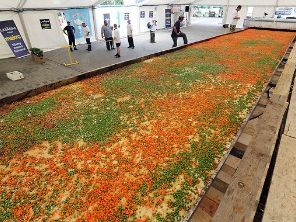 Polish Chefs Made Largest Lasagna - World's Biggest Lasagna Made for  Italian Soccer Team