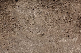 Dirt