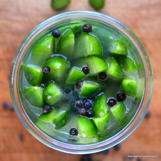 Fluid, Green, Produce, Transparent material, 