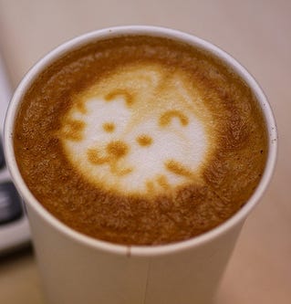 cat latte art