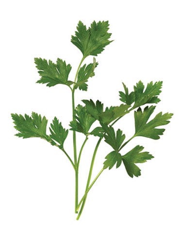 Parsley