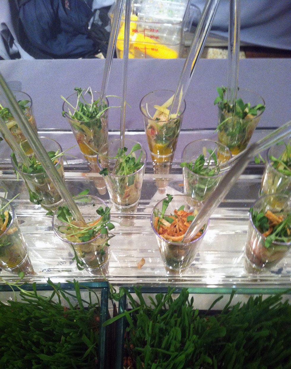 Ceviche at JBFA