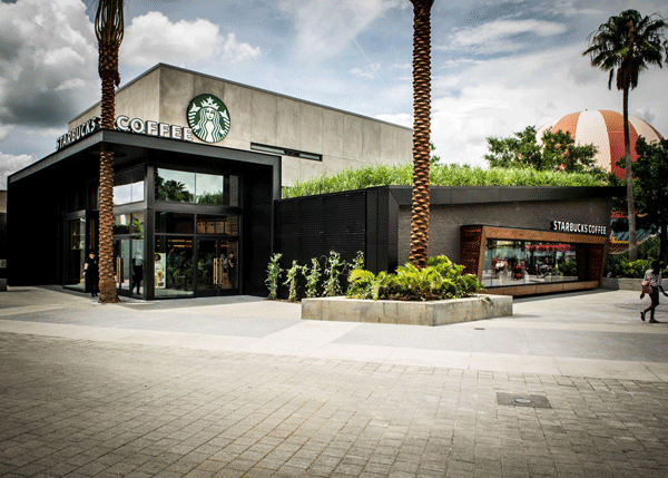 starbucks disney