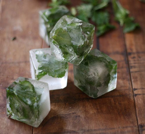 mint ice cubes