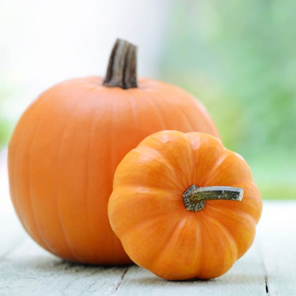 Pumpkin Facts