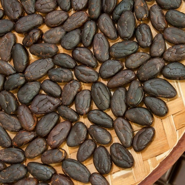 Cocoa Beans