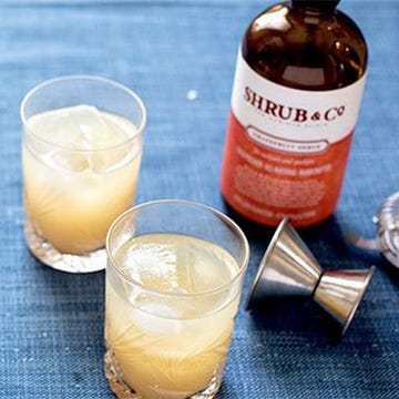 Shrub & Co. Shrubs