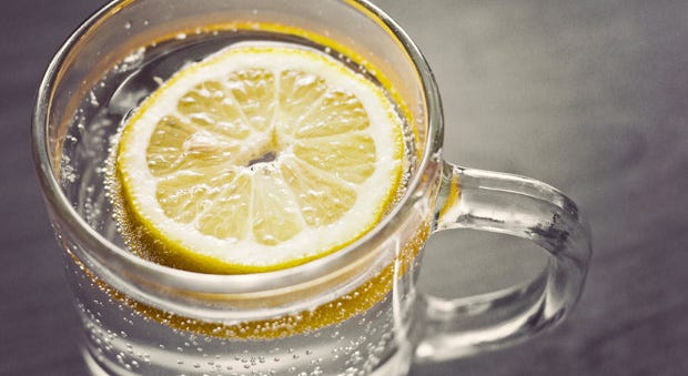 Lemon Wedge Bacteria