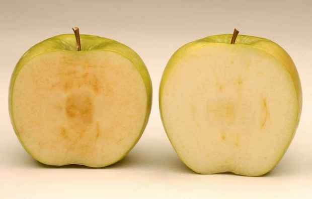 Vegan nutrition, Yellow, Fruit, Natural foods, Food, Produce, Peach, Whole food, Granny smith, Flowering plant, 