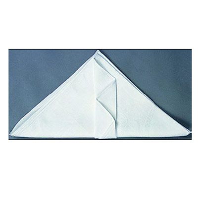 <p>Fold the napkin in half to form a triangle.</p><br /><p>Turn the napkin so the folded line is at the bottom.</p><br />