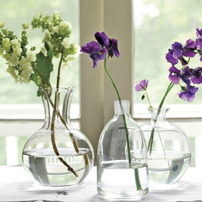Single stems of oakleaf hydrangea and sweet peas in glass decanters create a simple yet sophisticated arrangement.