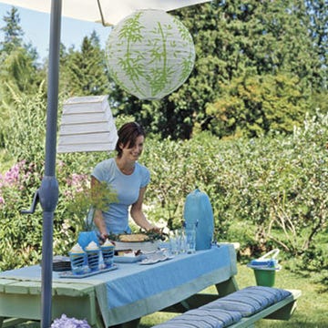 A picnic table set with blues and greens under a canopy is a welcoming retreat from the summer sun. Serve <b><a href="http://gogonow.org/recipes/cooking-recipes/sweet-savory-blueberry-recipes%22target=%22_new%22%3Eblueberry%3C/a%3E%3C/b%3E-filled recipes like <b><a href="http://gogonow.org/recipefinder/chicken-blueberry-pasta-salad-recipe-5789%22target=%22_new%22%3EChicken and Blueberry Pasta Salad</a></b>, <b><a href="/recipefinder/teriyaki-pork-chops-blueberry-ginger-relish-recipe-5791"target="_new">Pork Chops with Blueberry Relish</a></b>, and <b><a href="/recipefinder/blueberry-white-chocolate-chunk-ginger-cookies-recipe-5812"target="_new">Blueberry and White Chocolate Chunk Ginger Cookies</a></b>.