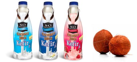 Image result for Coconut Milk Kefir (Vegan)
