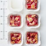 raspberry rhubarb crumb bars