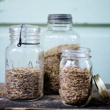 <p>This quick and easy recipe is ready in 30 minutes flat and makes a wholesome base for a wide variety of meals.</p>
<p><strong>Recipe:</strong> <a href="http://www.countryliving.com/recipefinder/wild-rice-recipe-clv0913" target="_blank">Wild Rice</a></p>