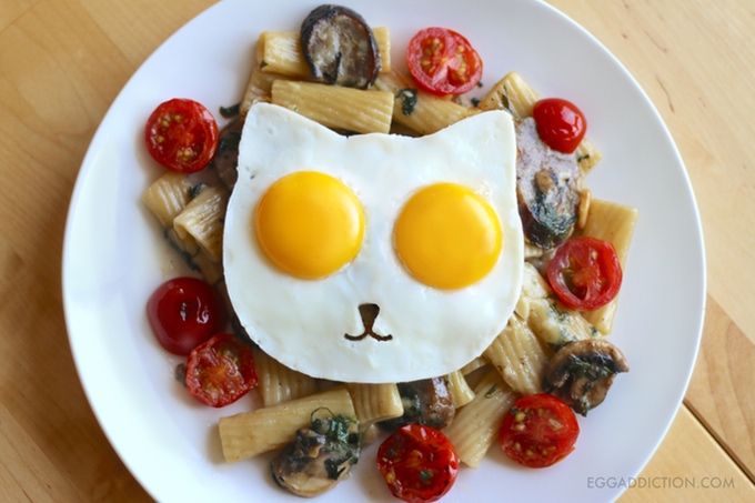 fried egg cat