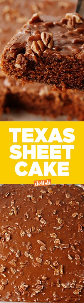 Best Ever Texas Sheet Cake - The Dashley's Kitchen - Video Recipe