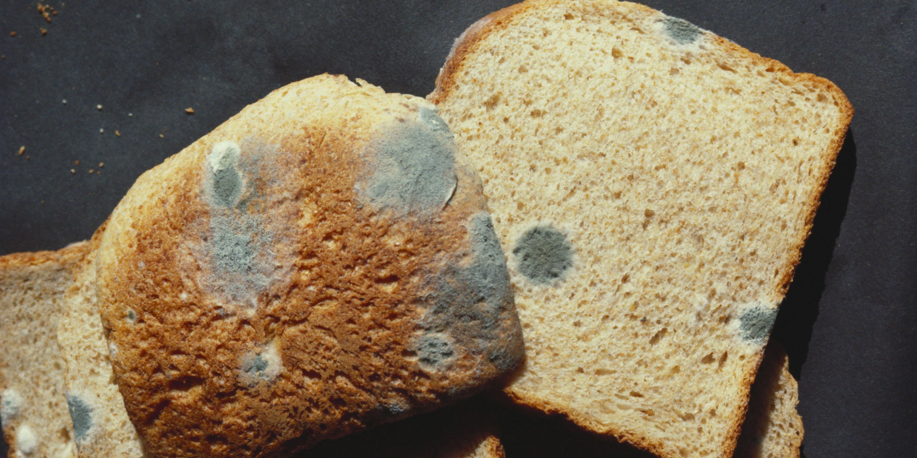 Why Picking Mold Off Bread And Eating The Rest Is Unsafe - Moldy Bread  Safety
