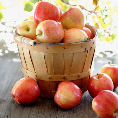 How to Store Apples: Expert Tips for Keeping Them Crisp