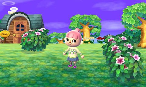 Animal Crossing world record set at 70 hours