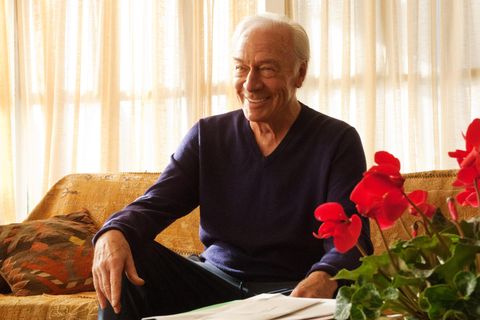 Red, Flower, Sitting, Plant, Adaptation, Room, Photography, Grandparent, Happy, Leisure, 