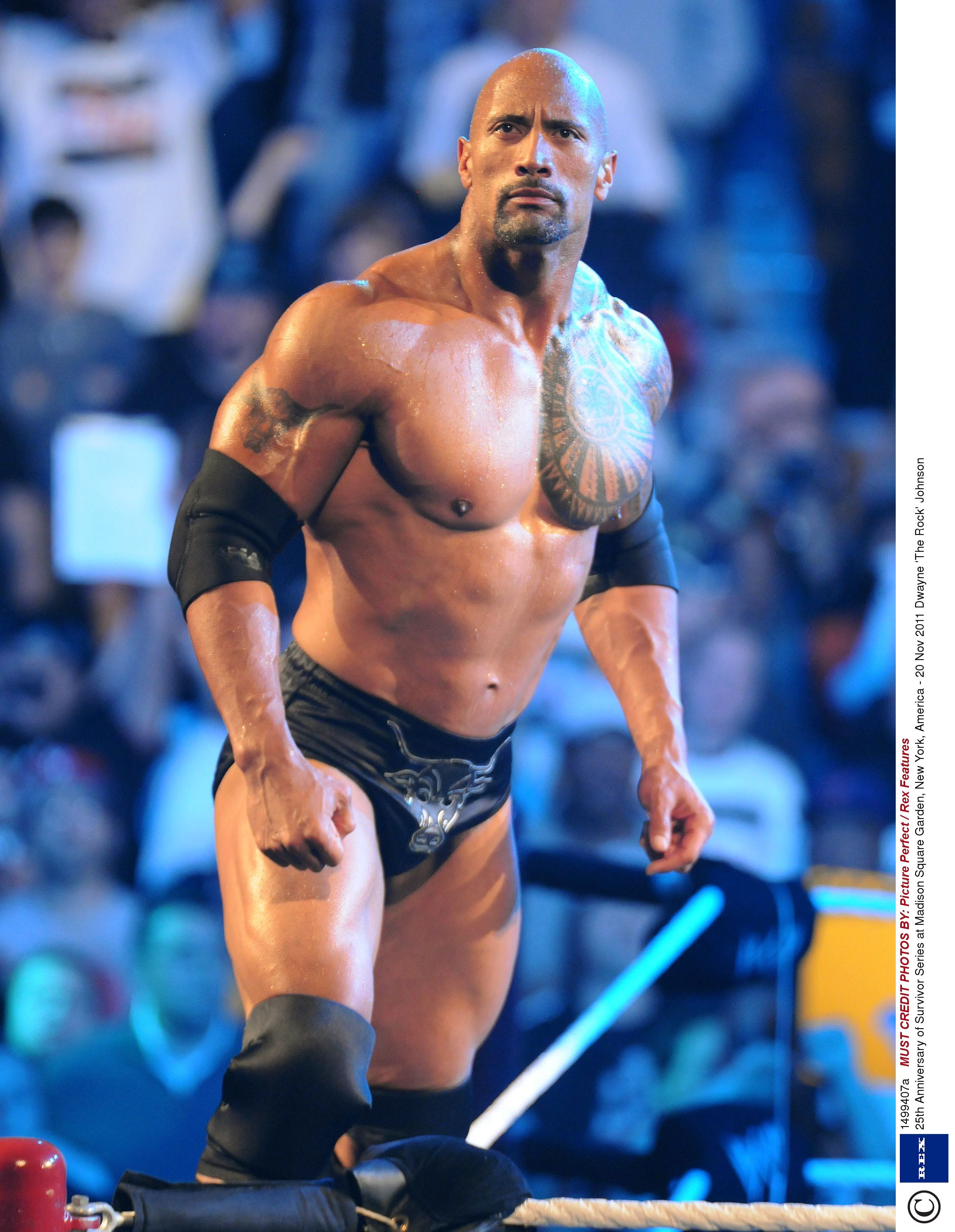 The Rock, Pro Wrestling