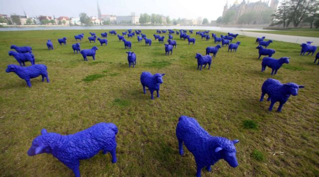 blue-sheep.jpg?resize=980:*