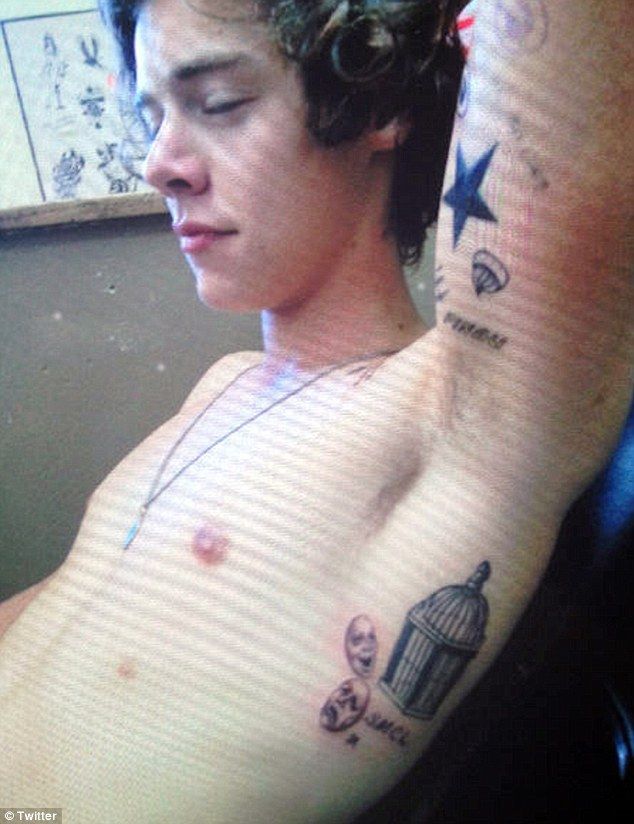 jeem on Twitter Wow Harry Styles is so hot With his pot belly and his  rank tattoos What a dreamy guy httptcouojYi4sV  Twitter