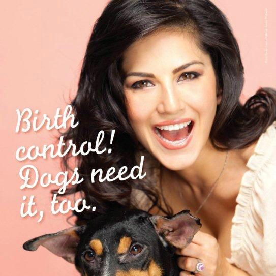 Sunny Leone Fucking Dog - Sunny Leone poses for new PETA advert