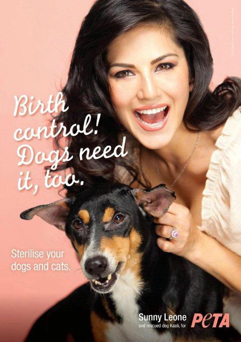 Sunny Leone With Dogs Porn Videos - Sunny Leone poses for new PETA advert
