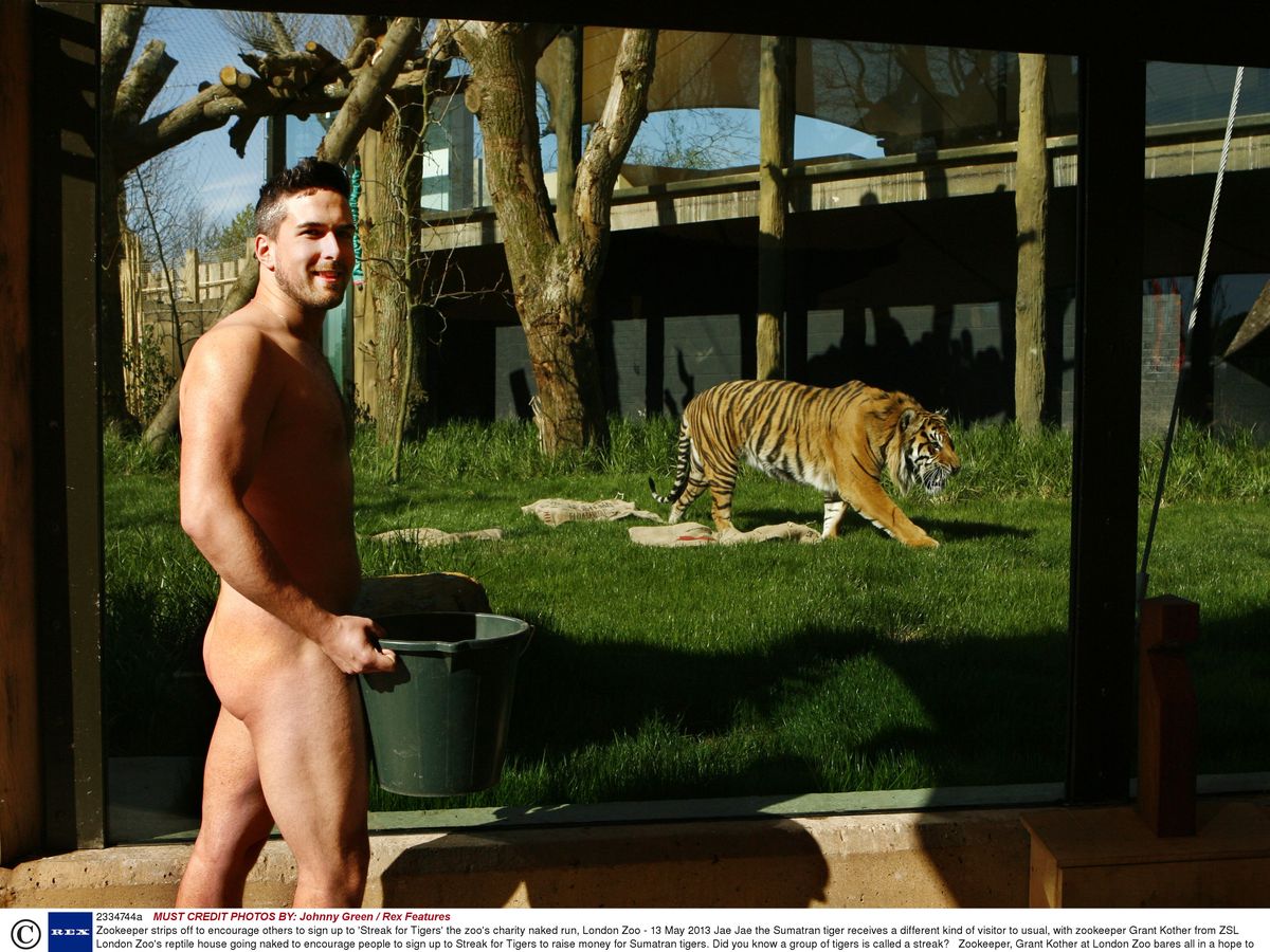 Gay Spy: Zookeeper goes naked for charity