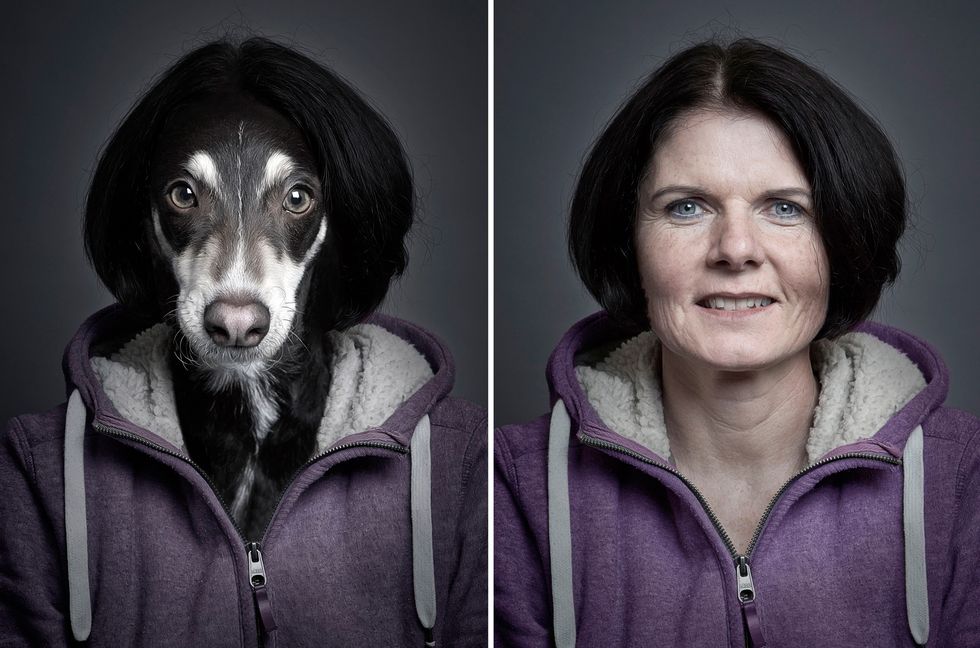 animals that look like their owners