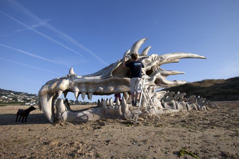 'Dragon skull' found on Jurassic Coast