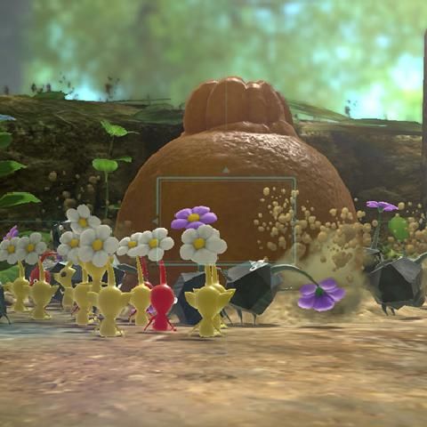 Shigeru Miyamoto Is Making Movies About Pikmin